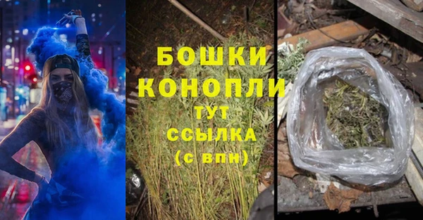трава Балахна