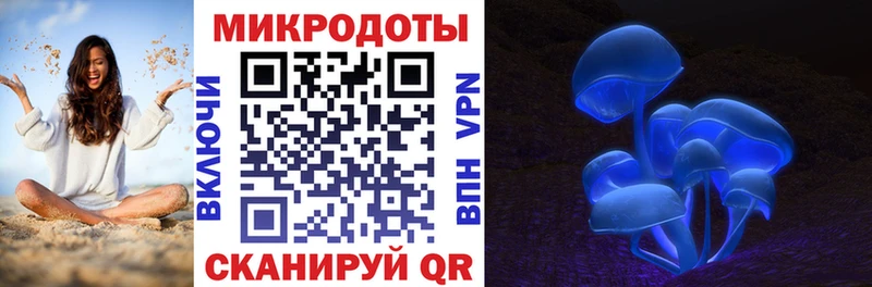 сколько стоит  Краснознаменск  Галлюциногенные грибы GOLDEN TEACHER 